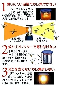 Amazon.co.jp: ソト(SOTO) 虫の寄りにくいランタン 【ケース